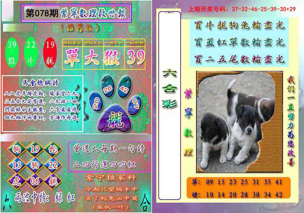 078期数理救世报[图]